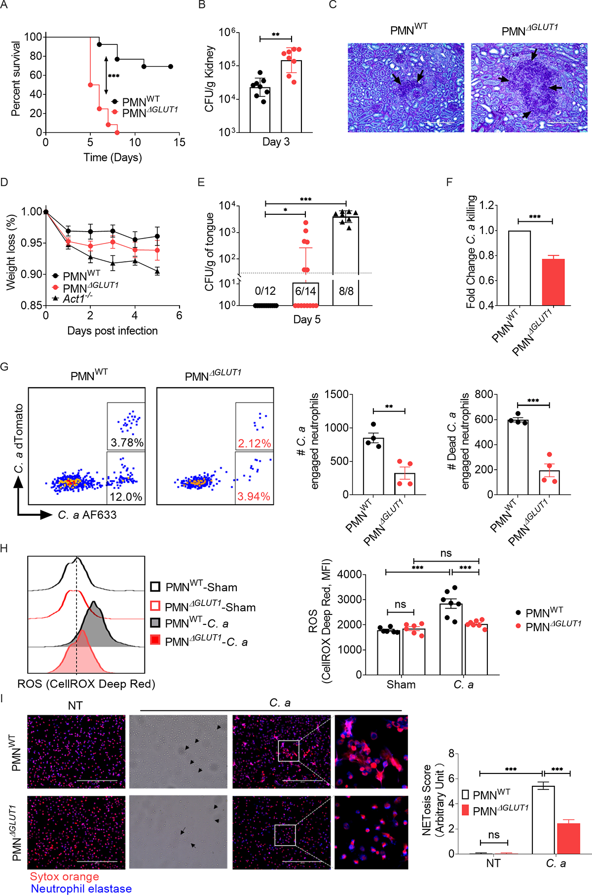 Fig 6: