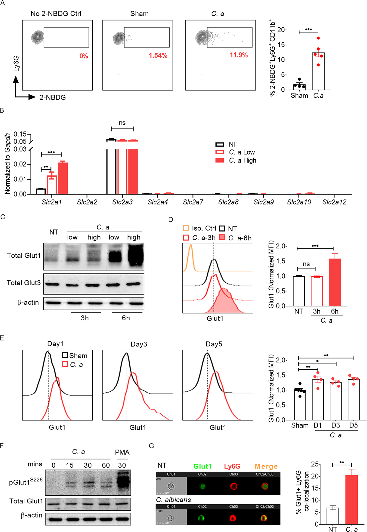 Fig 1: