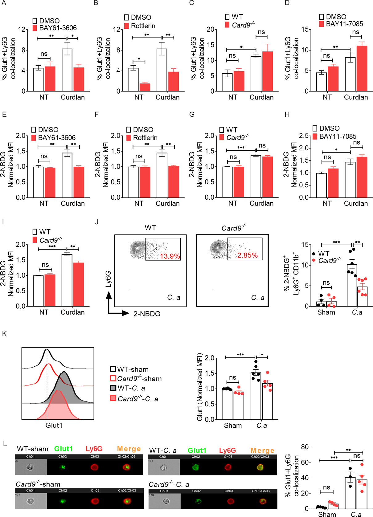 Fig 4: