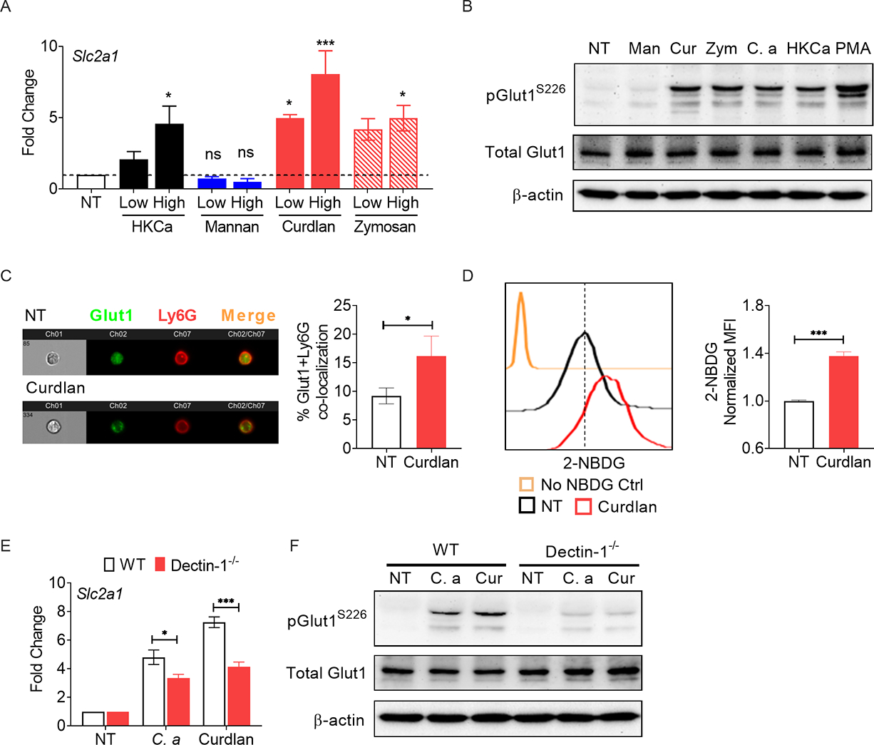 Fig 2: