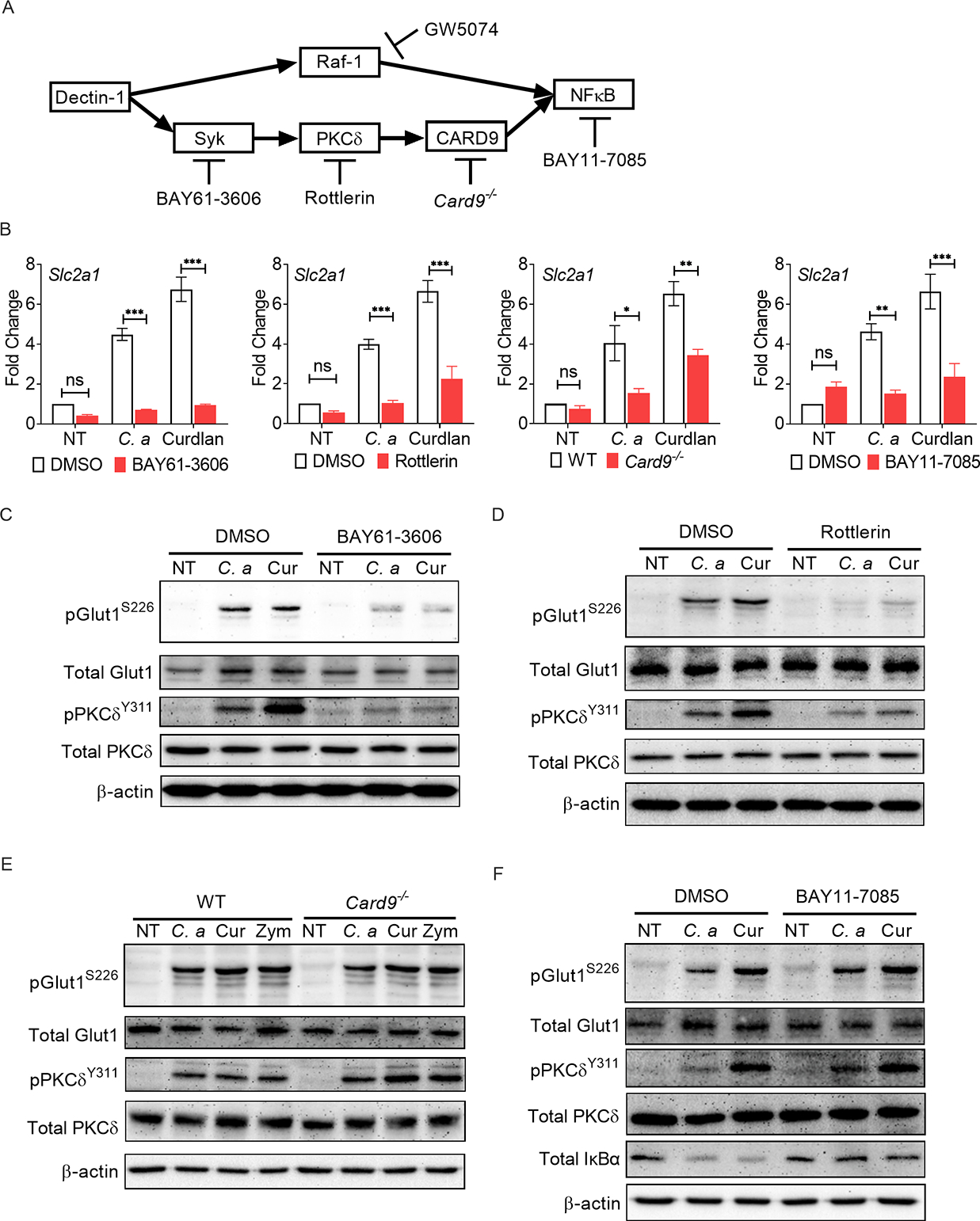 Fig 3: