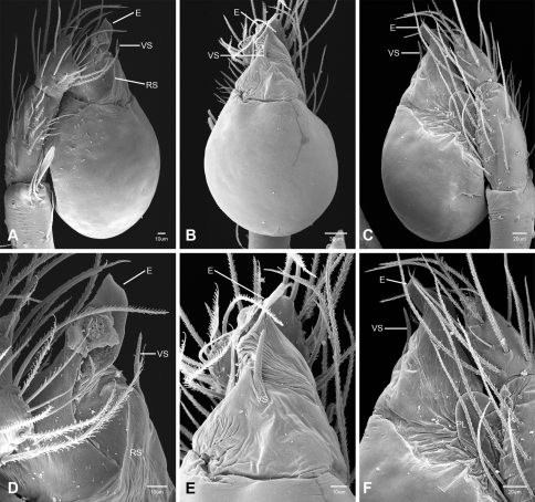 Figure 39.