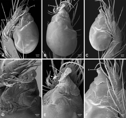 Figure 34.