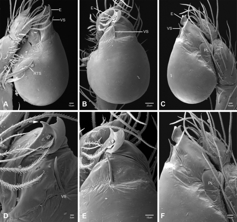 Figure 49.