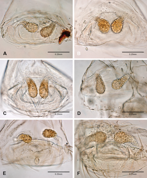 Figure 53.