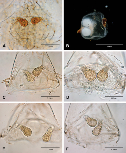 Figure 52.