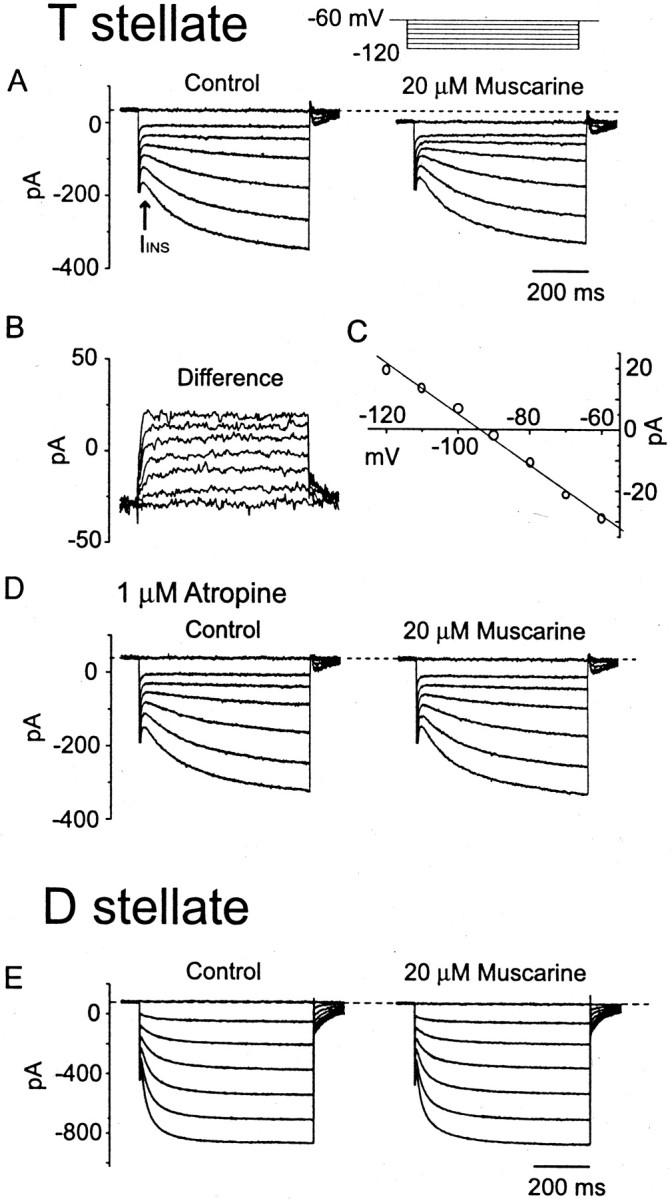 Fig. 8.