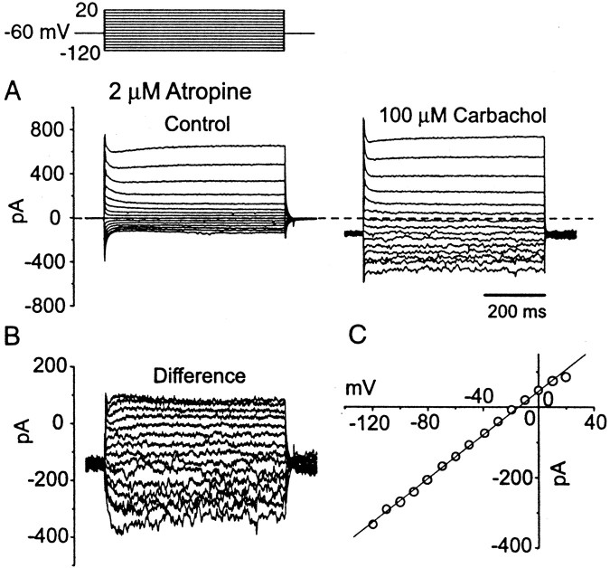 Fig. 7.