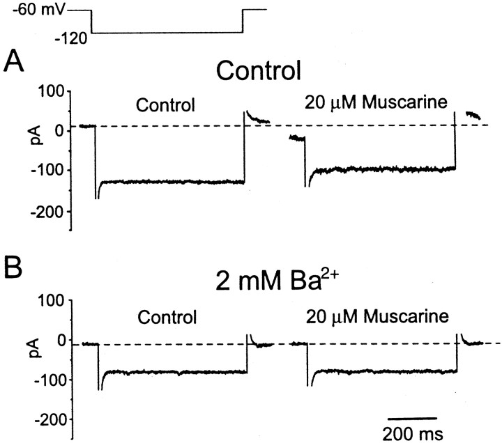 Fig. 10.