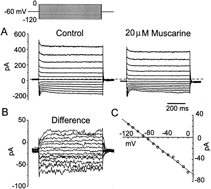 Fig. 9.