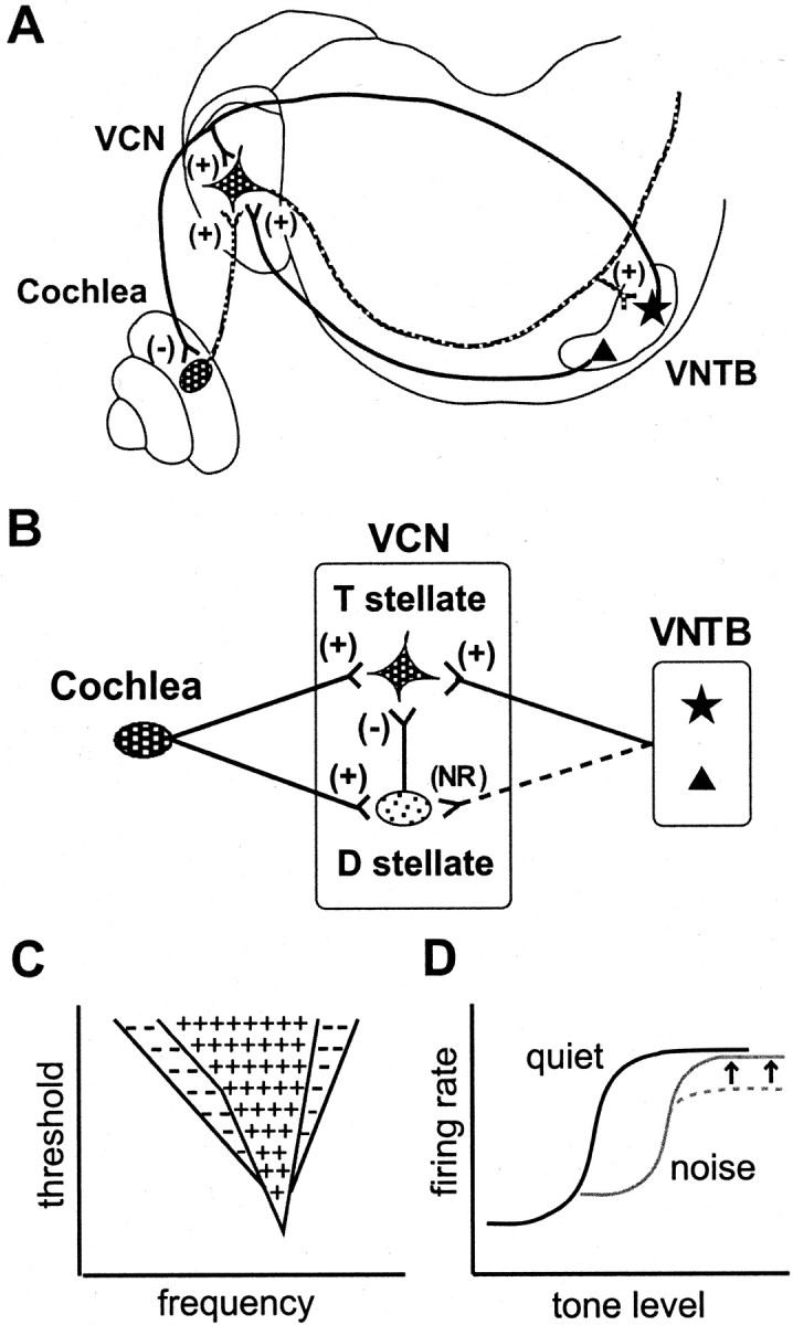 Fig. 11.