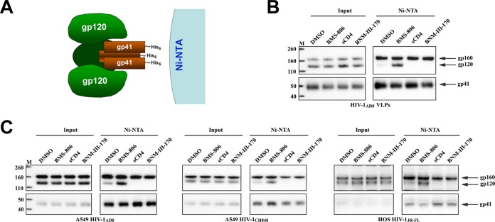 FIG 3