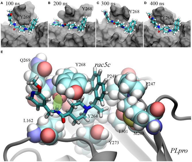 Figure 4