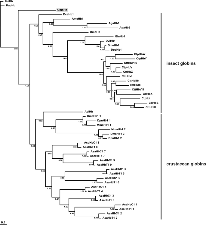 FIGURE 7.