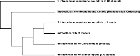 FIGURE 9.