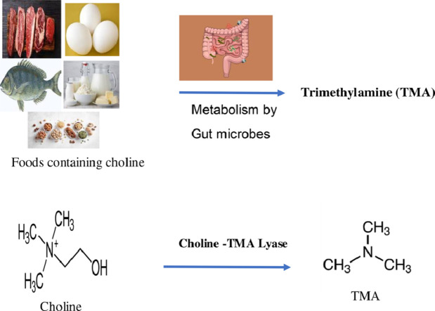 Image, graphical abstract