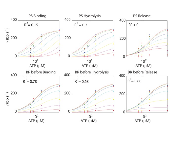 Figure 4—figure supplement 2.