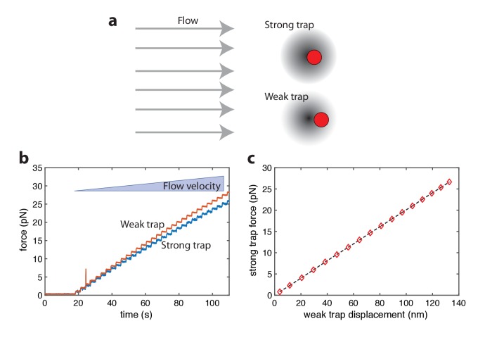 Figure 1—figure supplement 2.