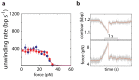 Figure 2—figure supplement 1.