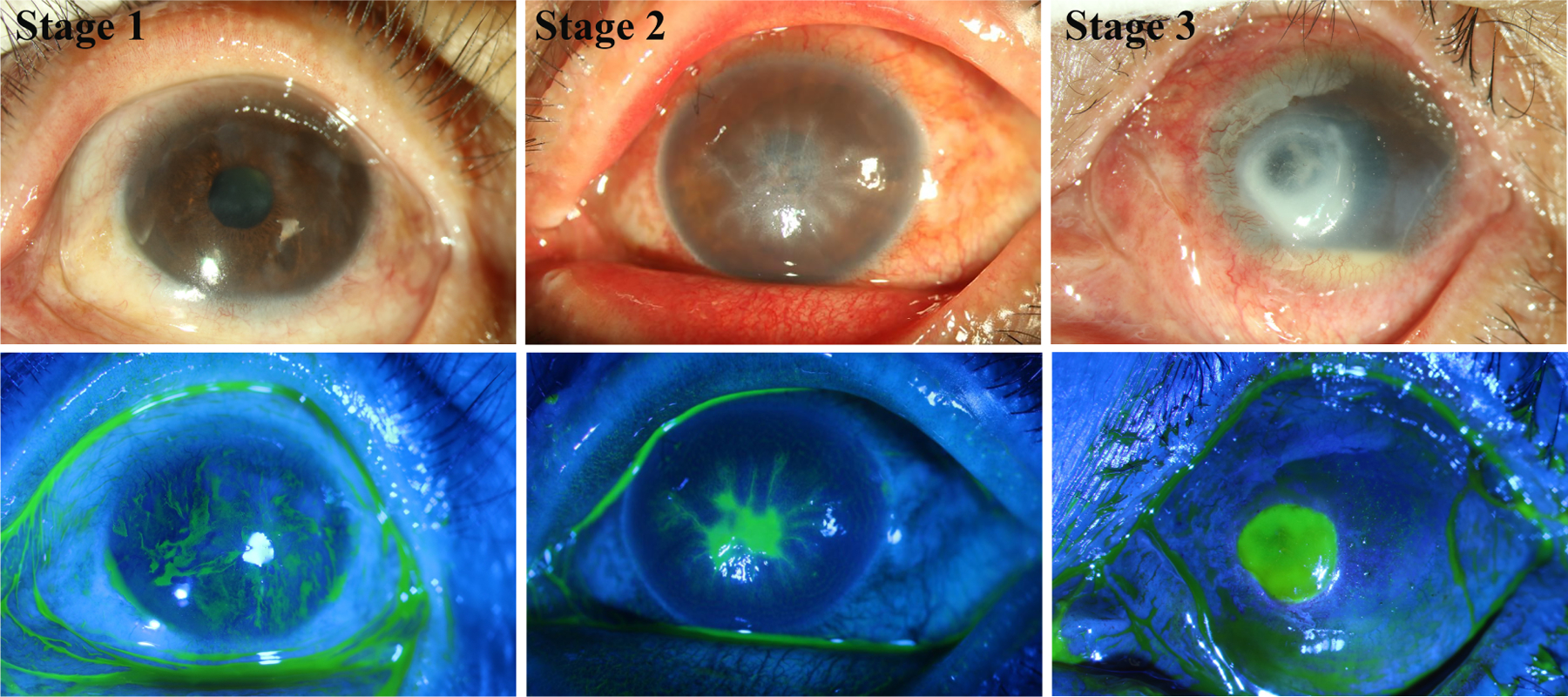 Figure 3.