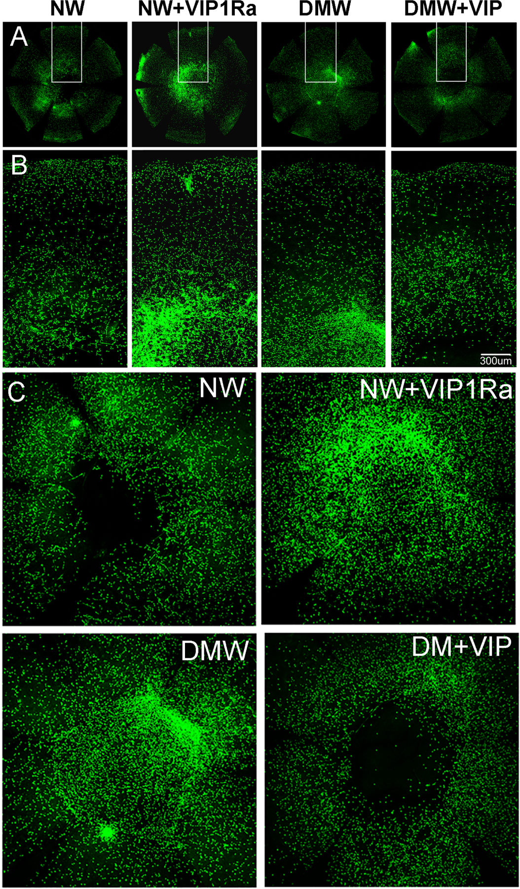 Figure 13.