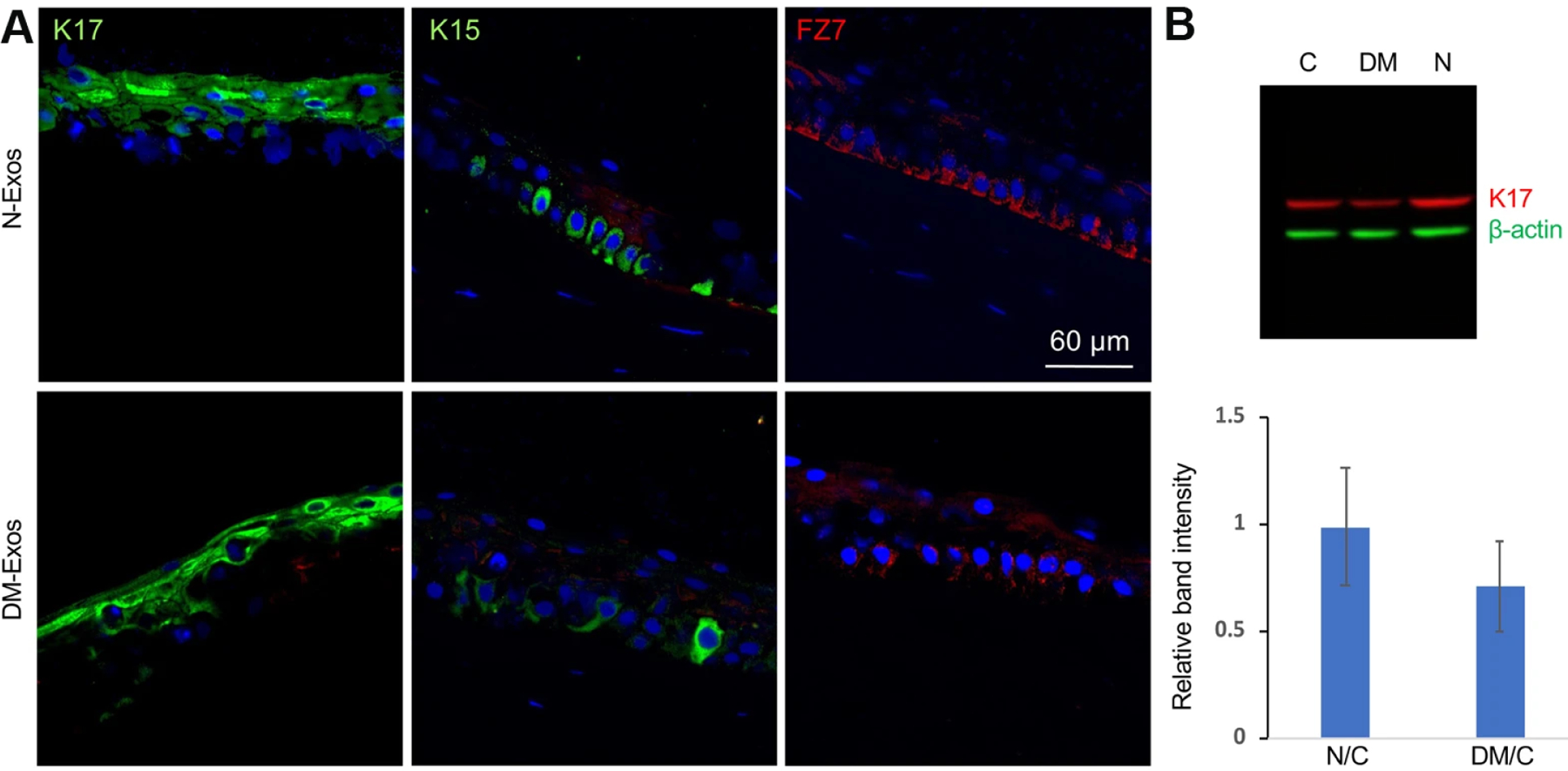 Figure 15.