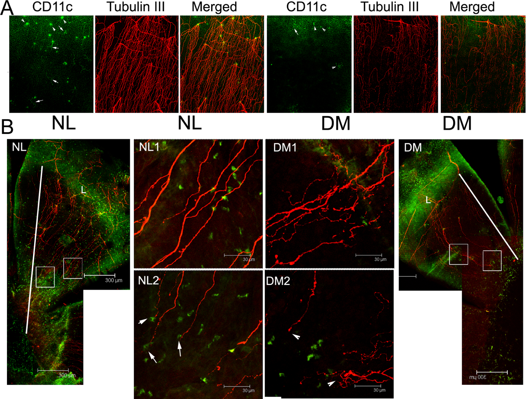 Figure 14.