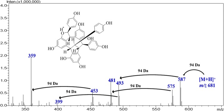 graphic file with name 13659_2019_212_Figa_HTML.jpg