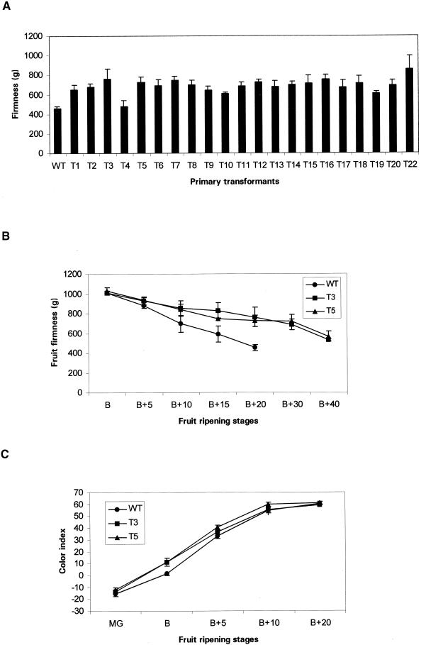 Figure 4.