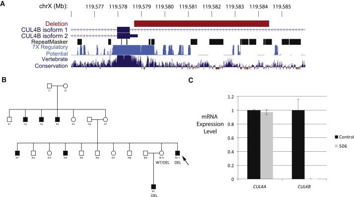 Figure 2