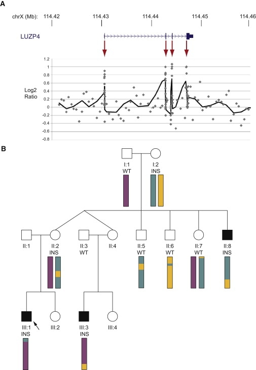 Figure 4