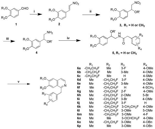 Scheme 1