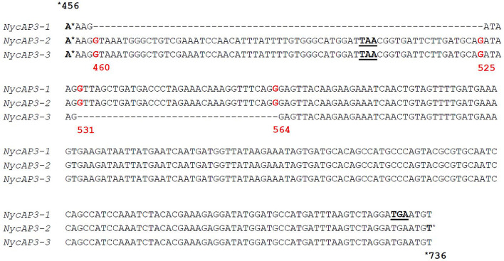 FIGURE 2