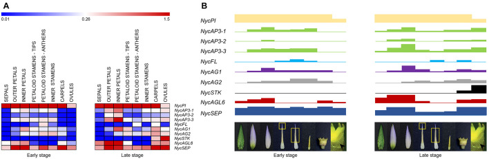 FIGURE 6