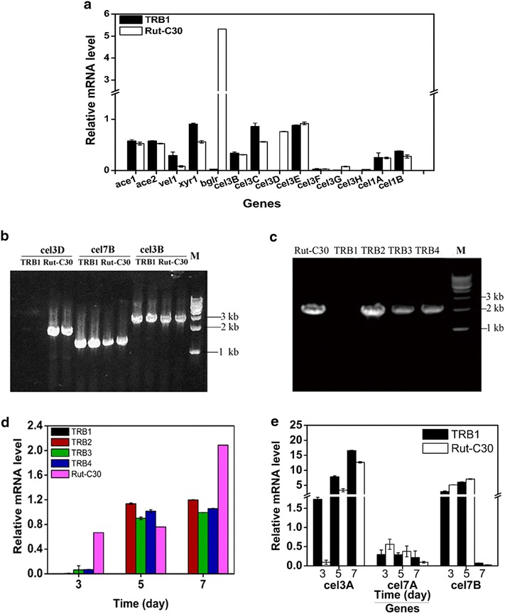 Fig. 7