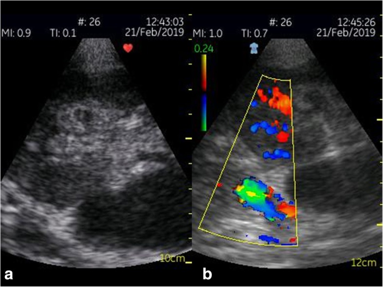 Fig. 5