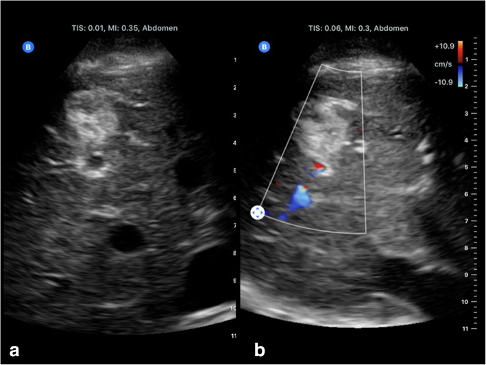 Fig. 9