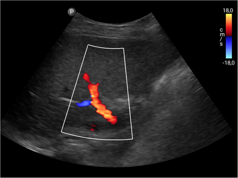 Fig. 7