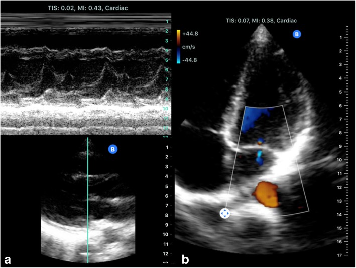 Fig. 8