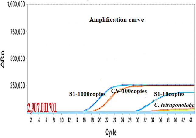 Fig. 2