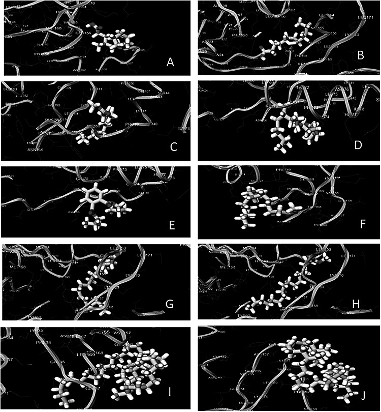 Fig. 4