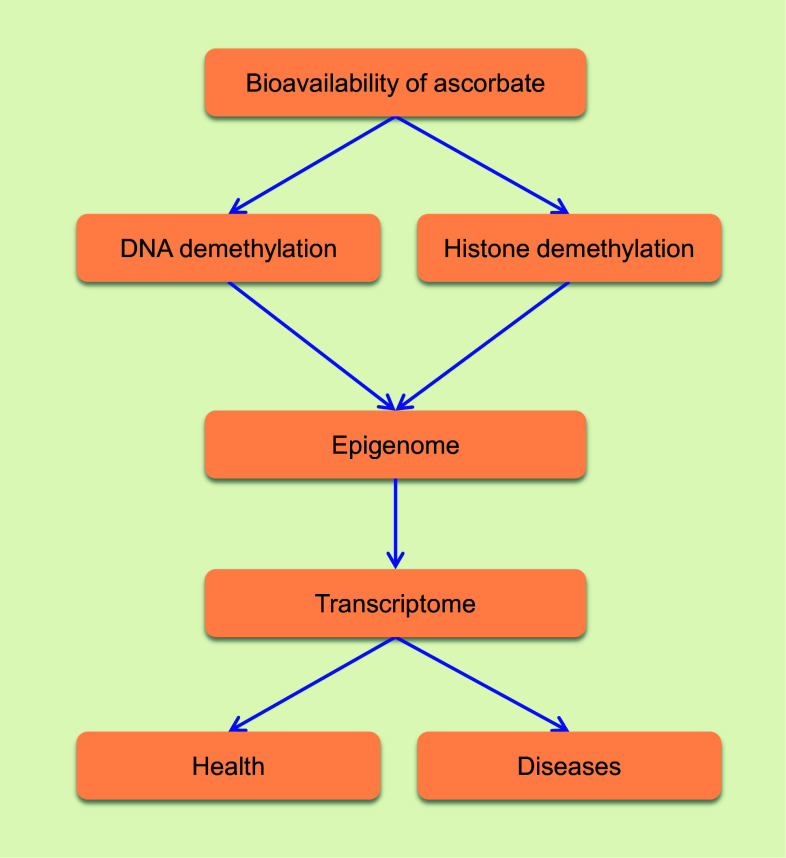 Fig. 2