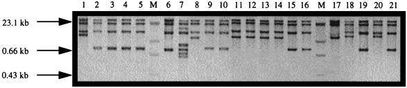 FIG. 1