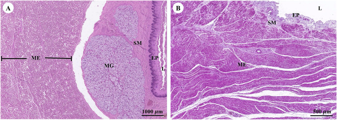 Figure 14