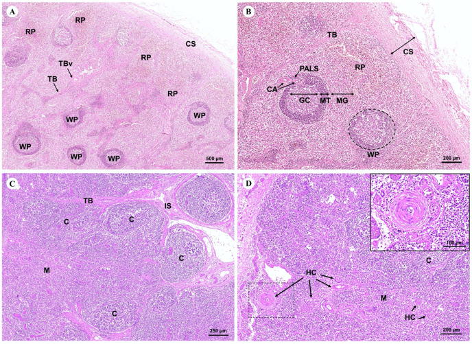 Figure 13