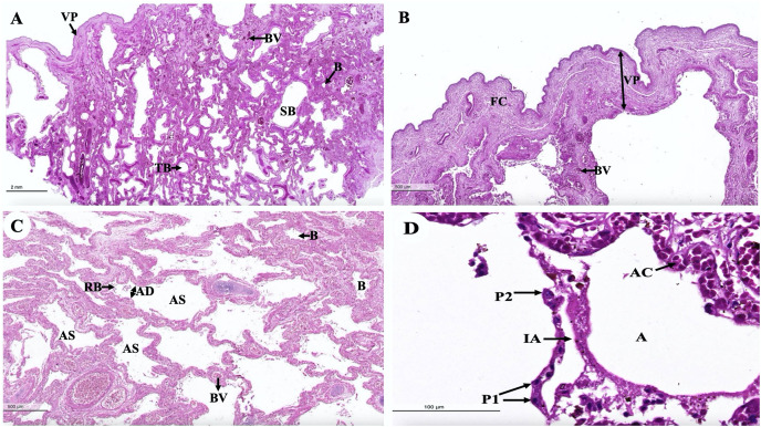 Figure 17