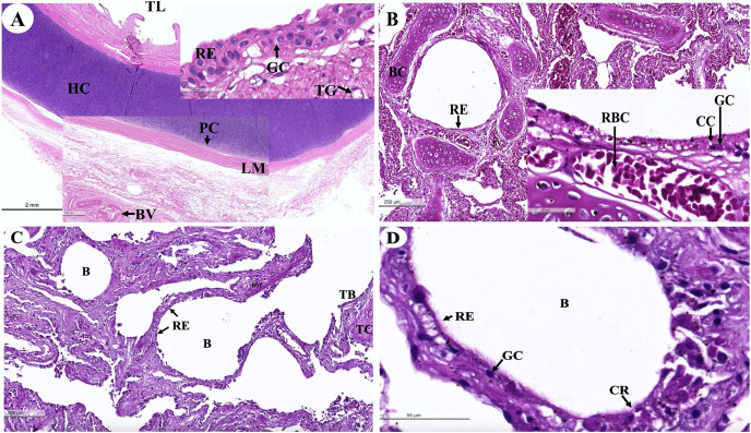 Figure 16