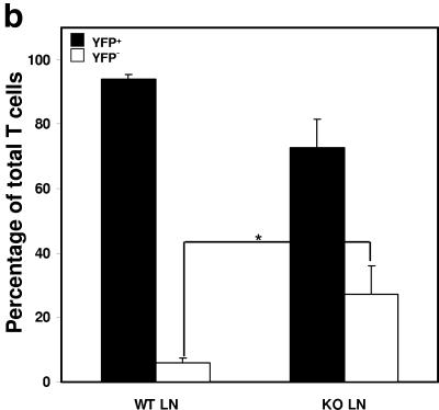 FIG.3.