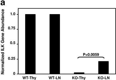 FIG.3.