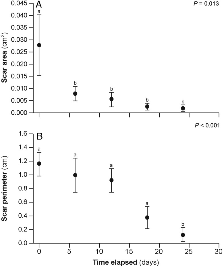 Figure 2: